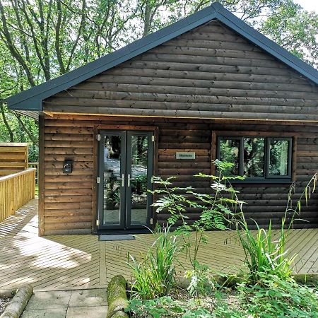 Bluestone-Hot Tub-Woodlandlodges-Pembrokeshire-Tenby Carmarthen Exteriör bild